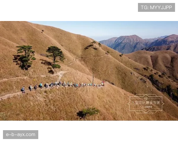 广州队再攀高峰,重塑辉煌续写传奇 广州队再攀高峰,重塑辉煌续写传奇