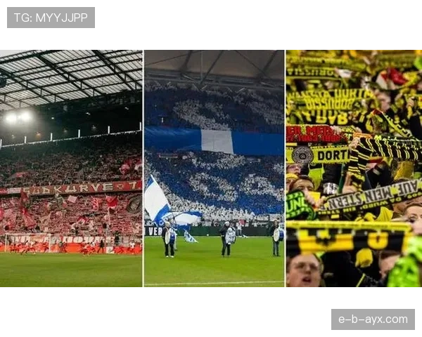 德甲新赛季大幕将启,重磅引援或成球队突破关键 德甲新赛季大幕将启,重磅引援或成球队突破关键