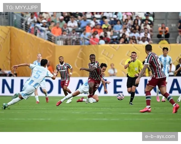 弗拉门戈球队专家点评：近期表现与战术分析